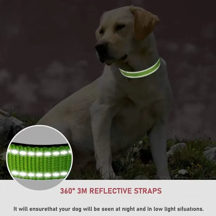 Collier en nylon pour chien élégant pour chiots et grands chiens tous les styles et couleurs pour chaque saison et occasion spéciale