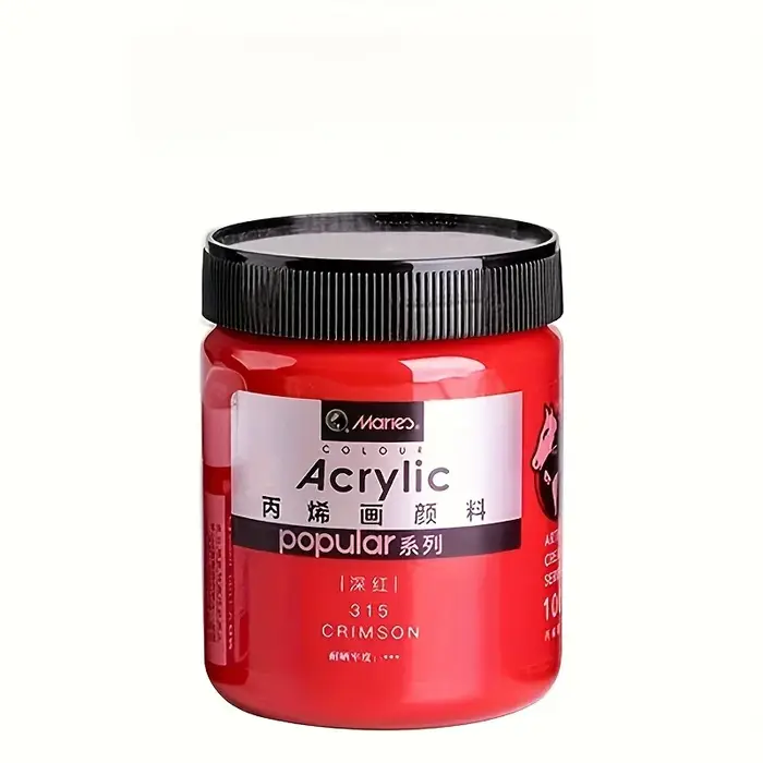 Peinture acrylique 300ml pour mur d'art, vêtements peints à la main, bricolage, chaussures peintes à