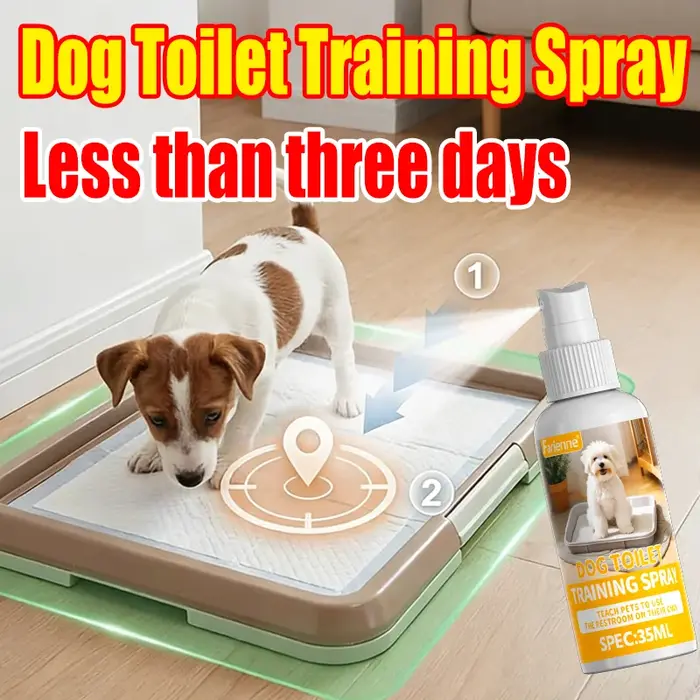Spray d'apprentissage de la propreté pour chiens, aide au positionnement de la pipi pour chiots, pou