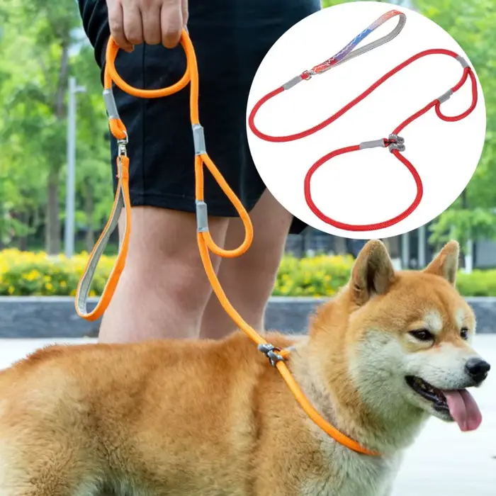 Laisse à double poignée réglable pour chien, fournitures pour animaux de compagnie, marche, chiot, P JODogs, 1.4m