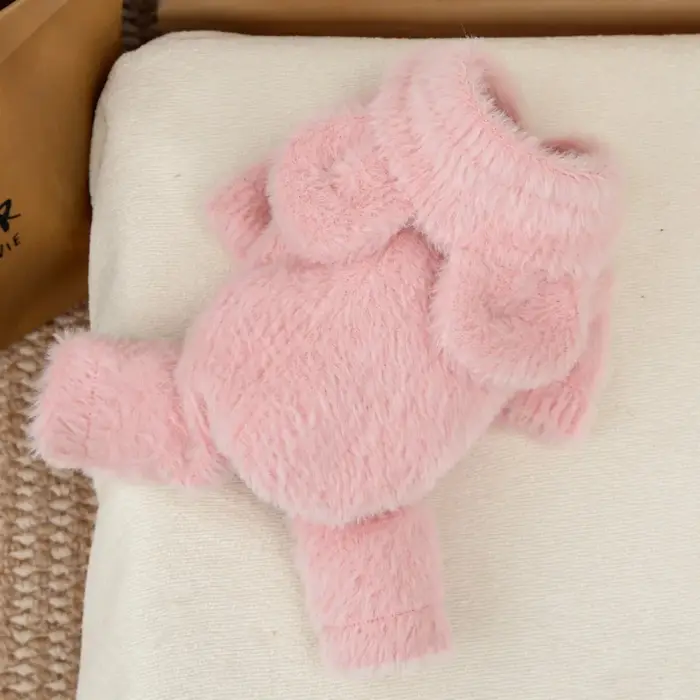 Manteau à capuche pour chat, combinaison chaude d'hiver pour chiot, combinaison épaisse à capuche po