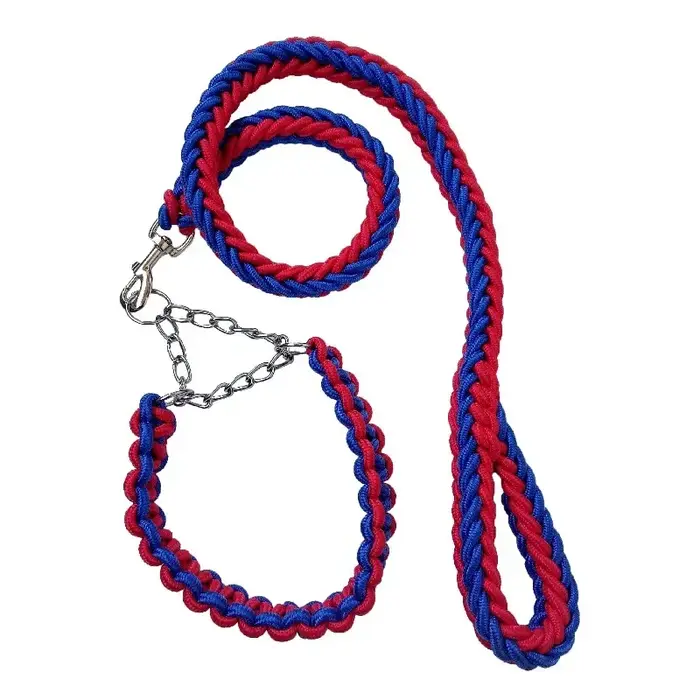 Laisse pour chien avec collier en chaîne P