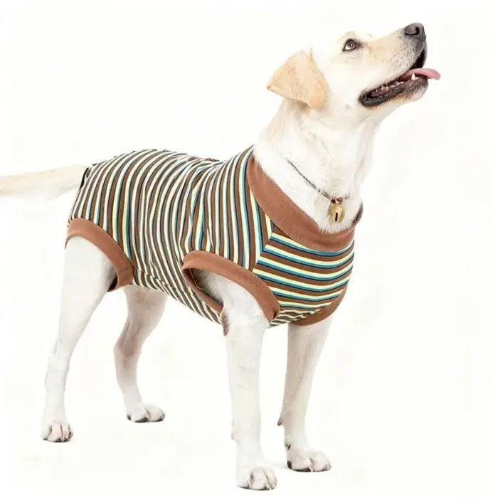 Combinaison pour chien, combinaison de stérilisation rayée pour chien, vêtements de récupération pou