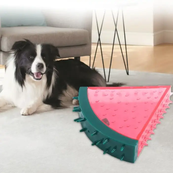 Jouet à mâcher pour chien