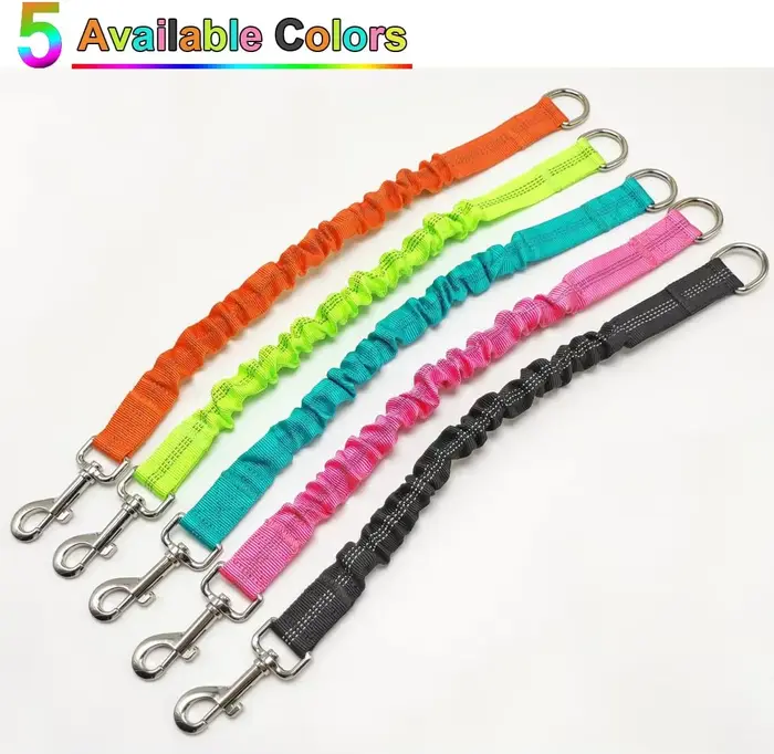 Laisse d'extension pour chien - Réglable et extensible