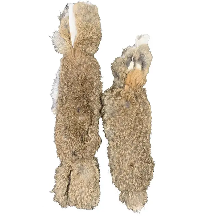 Faux lapin aboyant pour chien