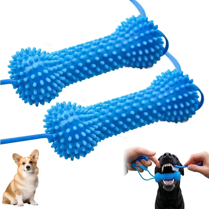 Jouet dentaire double action pour chien