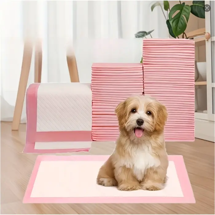 Tapis d'apprentissage pour chiens, améliorés, super absorbants, anti-fuites, séchage rapide, contrôl