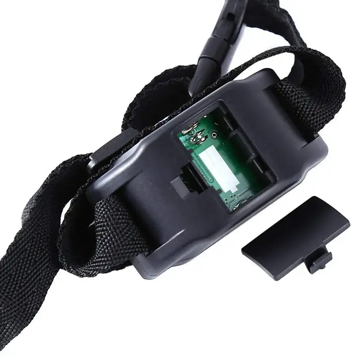Collier électrique anti-aboiement pour petit animal de compagnie