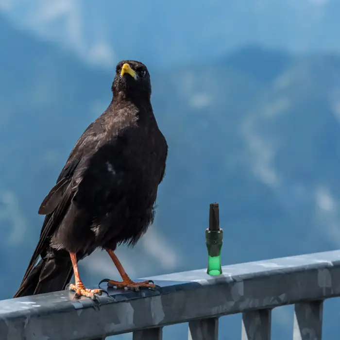 Sifflet appel corbeau plastique imitation décoy chasse observation oiseaux dispositif appel corvidés extérieur