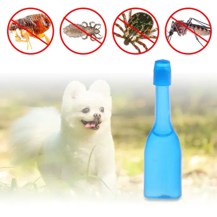 Pour animaux compagnie