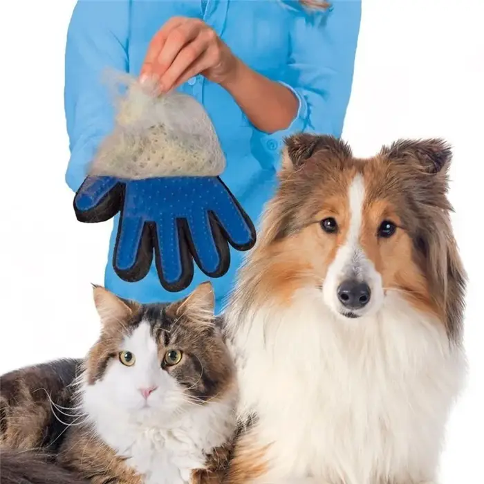 Gant de toilettage pour animaux de compagnie pour chats brosse peigne chat Hackle