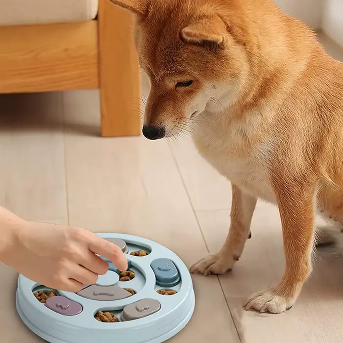 Bol anti-étouffement pour chien