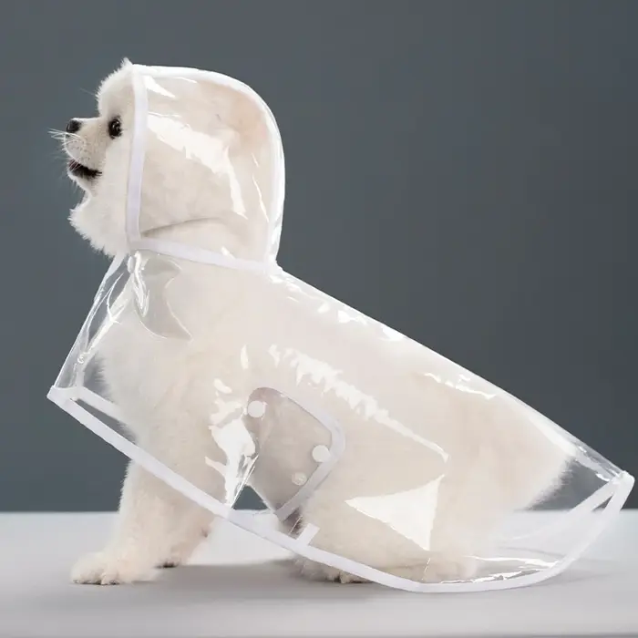 Nouveau imperméable Transparent pour animaux de compagnie, imperméable sortant, épais, coupe-vent et