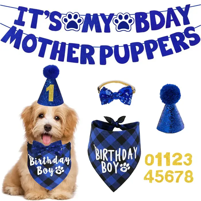 Kit de fête d'anniversaire pour chien – Bandana