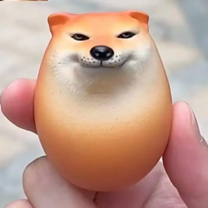 Oeuf de chien doux à rebond lent