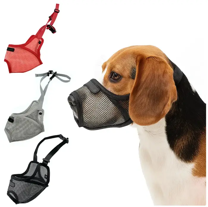 Muzzles respirants à grille pour chiens de taille moyenne à grande