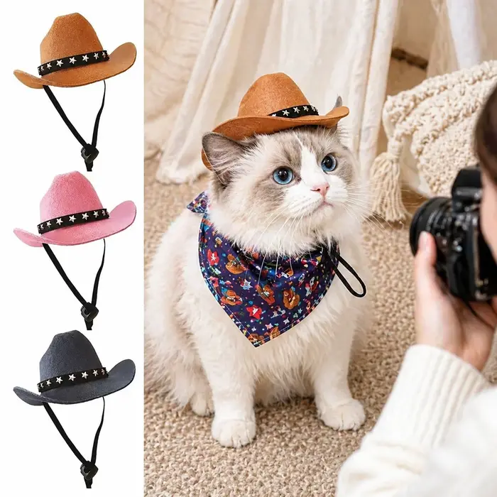 Chapeau de cowboy britannique pour chien