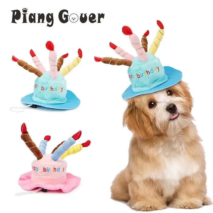 Casquettes d'anniversaire pour chien