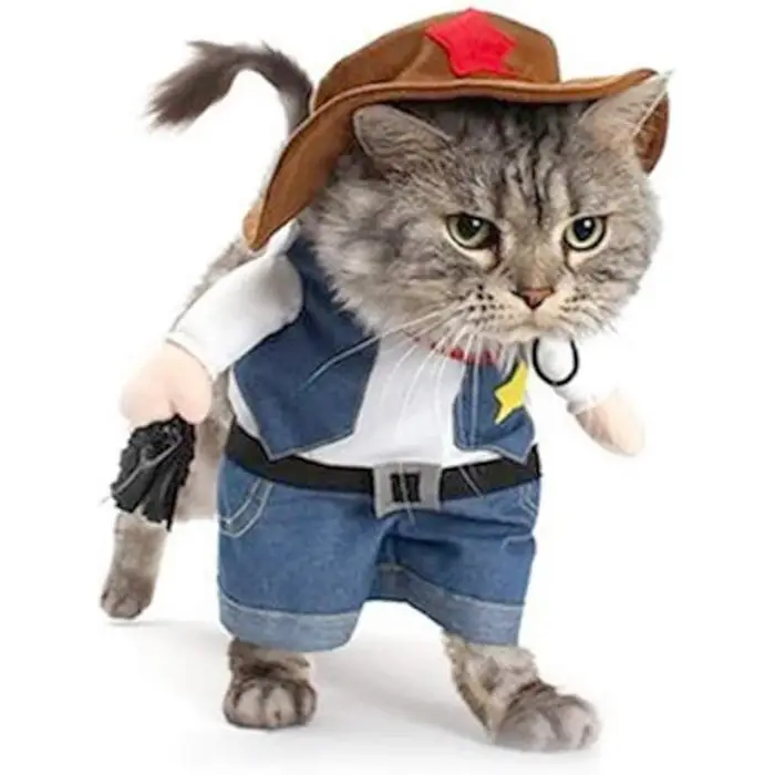 Costume d'Halloween amusant pour chien et chat