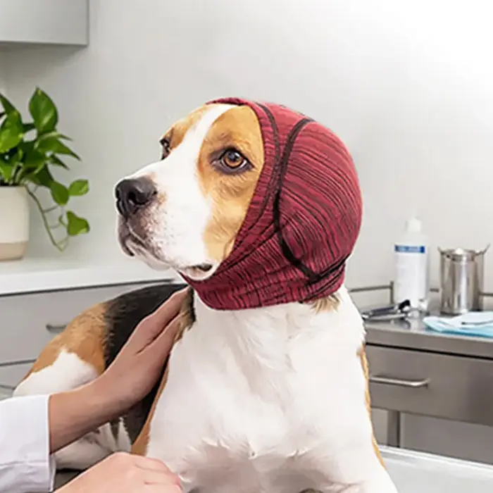 Couvre-oreilles élastiques pour chien