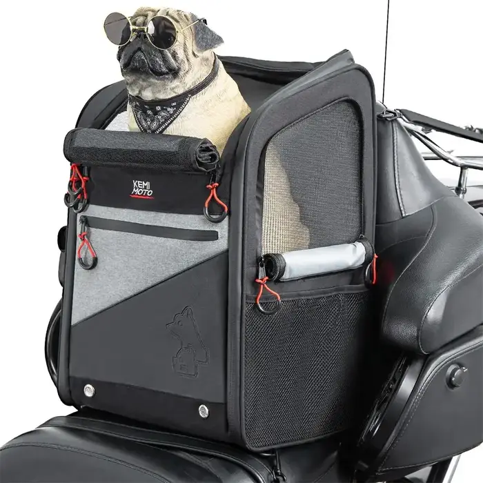 Sac de transport pour animaux de compagnie pour moto, sac de transport pour chien et chat, sac à dos