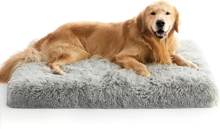 Lit pour chien Extra Large, caisse à œufs orthopédique XL, lit en mousse avec housse amovible et lav