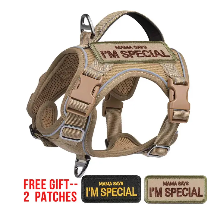 Harnais tactique pour petits chiens – Gilet de service militaire pour chien avec poignée verticale e
