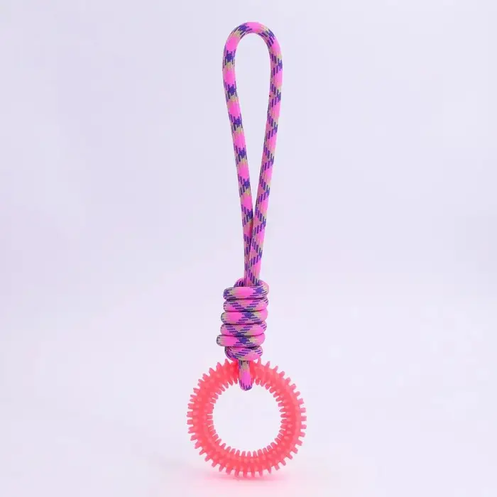 Supet Interactive Formation Pet Jouet Anneau Spiked Anneau Chien Dents Nettoyage Fournitures Pour An