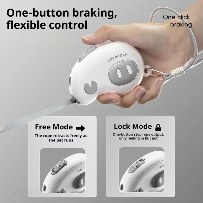 POPO Pet Mini laisse rétractable automatique pour la promenade en extérieur