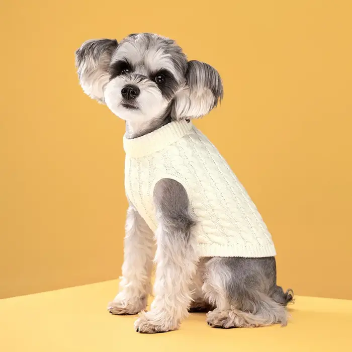 Chandails pour chiens pour petits chiens, vêtements chauds d'hiver, col roulé, tricoté, Chihuahua po