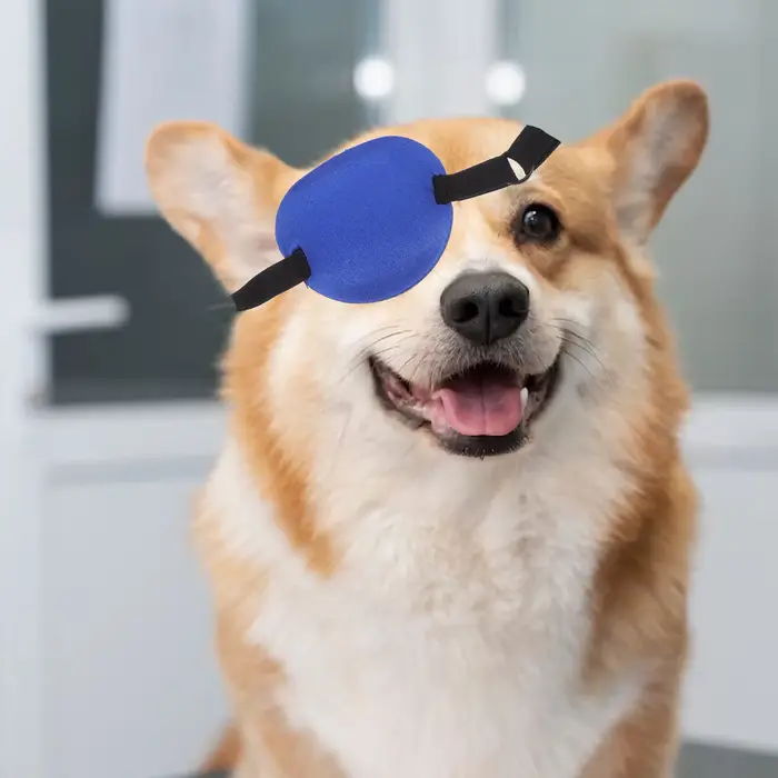 Patch oculaire confortable pour chiens, couvre les blessures, patchs pour chiots, bandages réglables