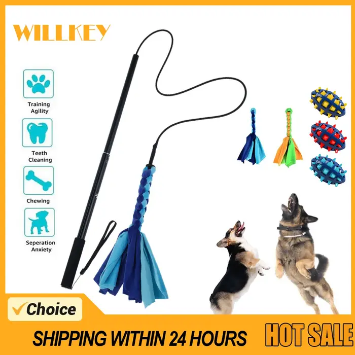 Bâton de flirt extensible rétractable pour chien