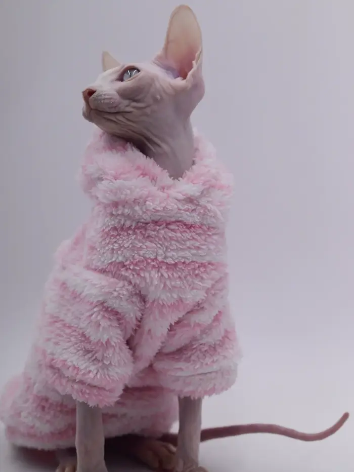 Cardigan en laine de vison pour animaux de compagnie, veste épaisse pour chat Sphinx, vêtements sans