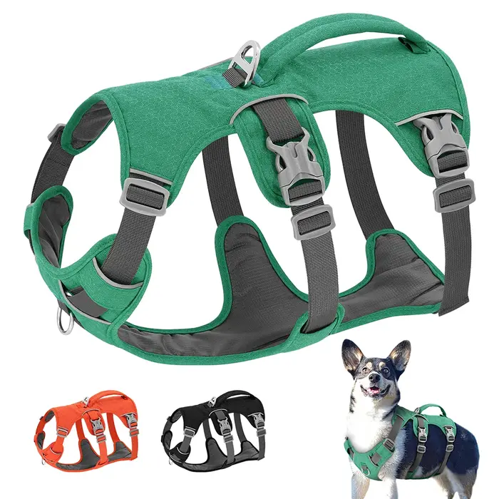 HarNISSAN-SFP Casting pour chien de compagnie en nylon, glaçure durable, poignée réglable, petit, moyen, grand chien, marche bouledogue