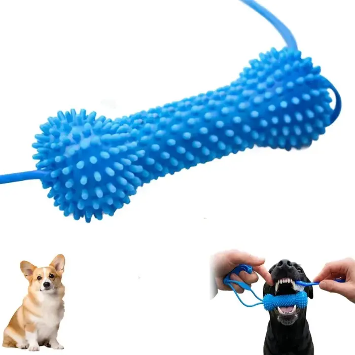 Jouet de brossage dentaire pour chien avec ventouse et corde de traction, bâton à mâcher en caoutcho