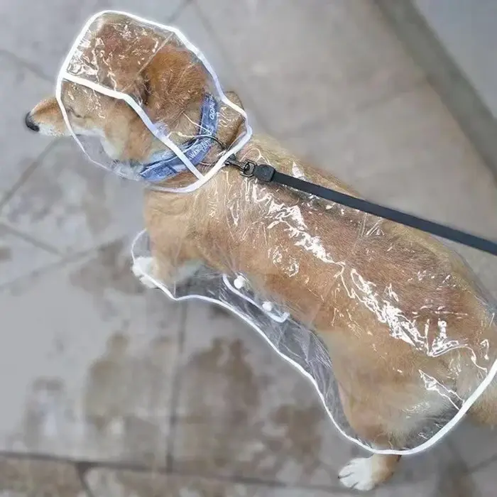 Manteau imperméable Transparent pour chien