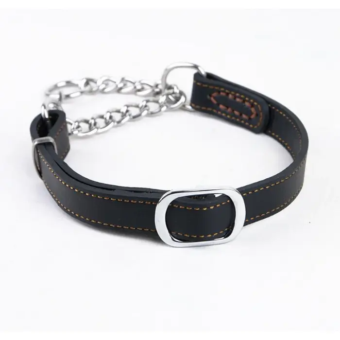 Collier en cuir véritable pour chien de compagnie