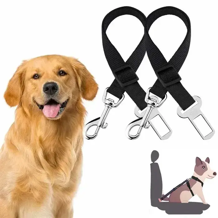 Ceinture de sécurité pour chien en nylon
