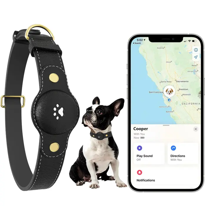 Collier GPS pour chien (traceur inclus) - Collier intelligent pour animaux de compagnie avec suivi e