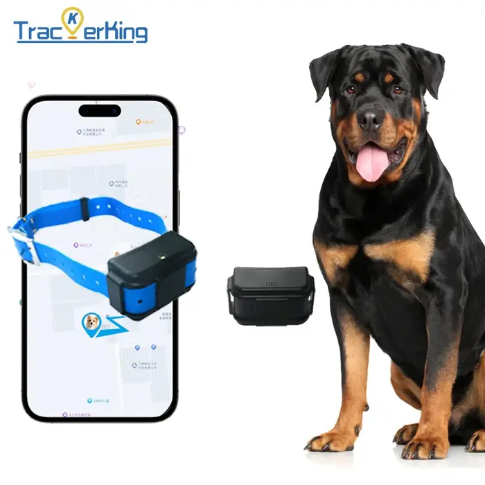 Collier GPS pour chien de chasse, anti-perte, suivi en temps réel, localisateur anti-perte pour anim