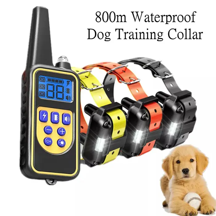 Collier de dressage numérique pour chien
