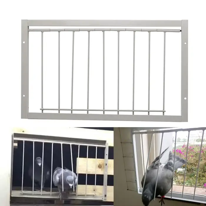 Piège à cadre de porte Pigeon Jos, clôture en fer, accent d'oiseau de compagnie, entrée d'élevage d'