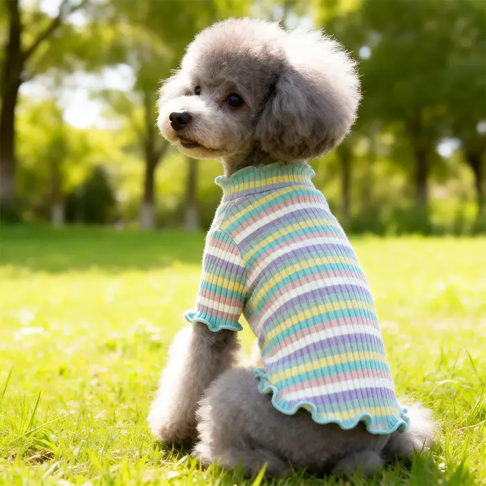 Vêtements pour chiens de compagnie : Gilet, T-shirt, Robe, Jupe, Sous-vêtement, Costume pour chiots 
