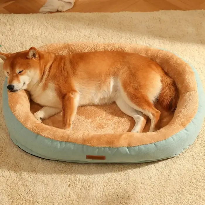 Coussin de canapé pour chien