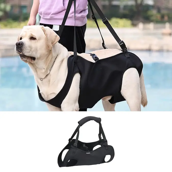 Harnais de transport pour chien