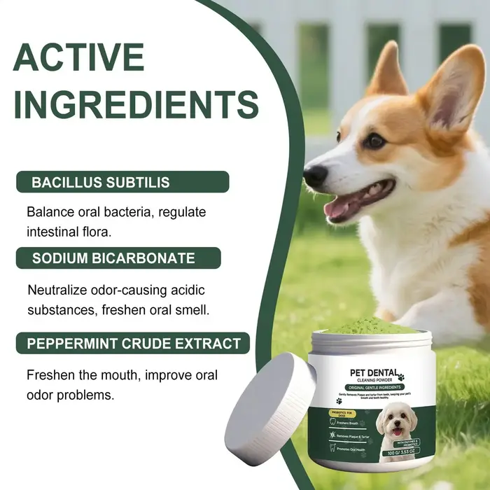 Poudre nettoyante pour dents de chien sans brossage – Nettoyant dentaire pour animaux de compagnie p
