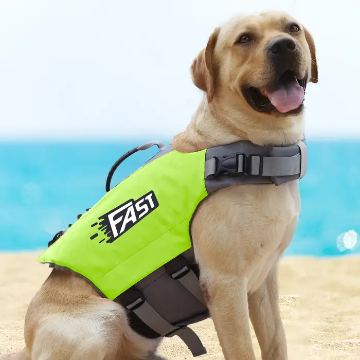Gilet de sauvetage pour chien