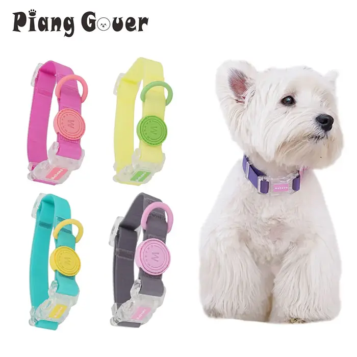 Collier coloré pour animaux de compagnie