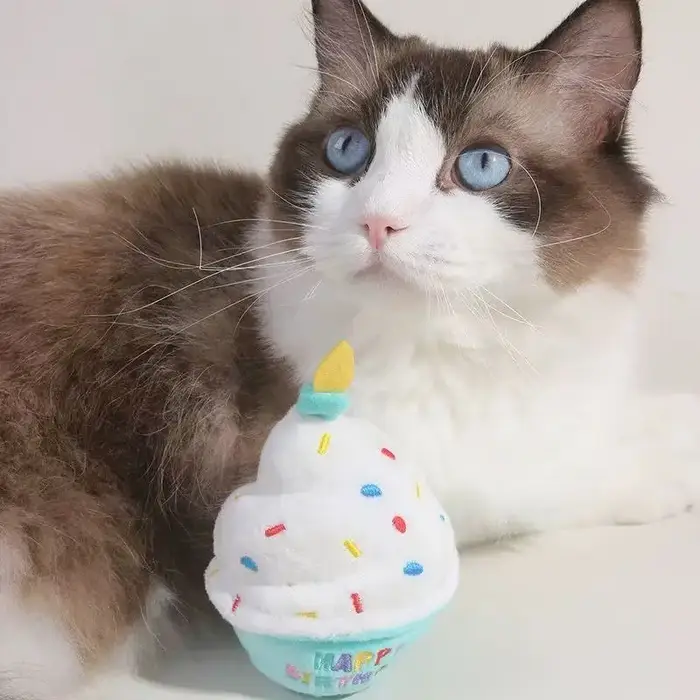 1 pièce Jouet d'anniversaire pour chien en peluche douce et couineuse avec bougies colorées, durable